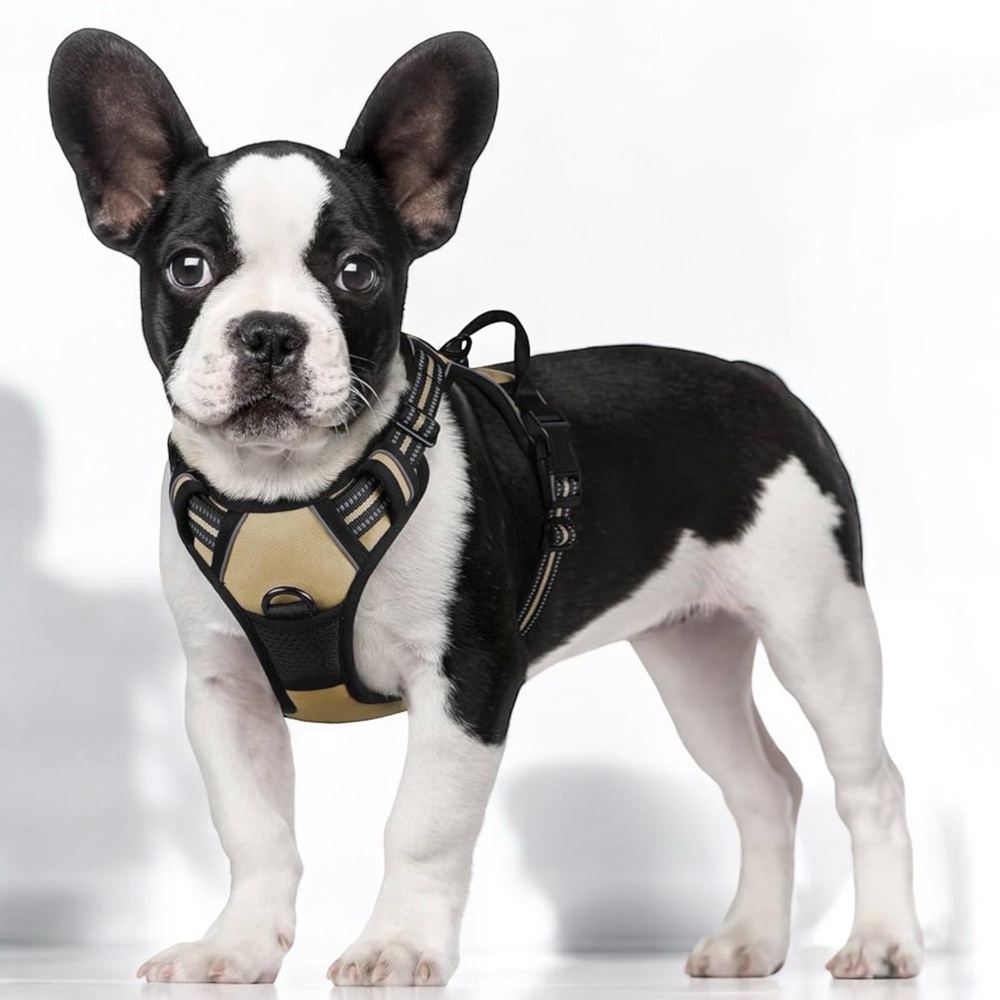 Rabbitgoo No Pull Adjustable Dog Harness Small NWOT